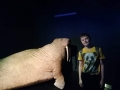 rbt